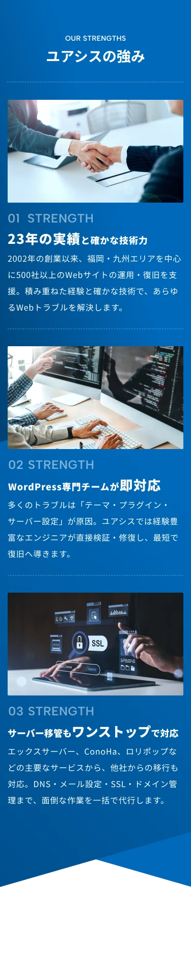 wordpressバスターズ|top